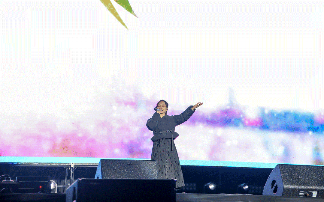 平陽體育中心群星演唱會(huì)！超萬人圍觀，現(xiàn)場(chǎng)火爆High唱！