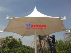 膜結(jié)構(gòu)形態(tài)有哪幾種？分別有哪些特點(diǎn)特征？